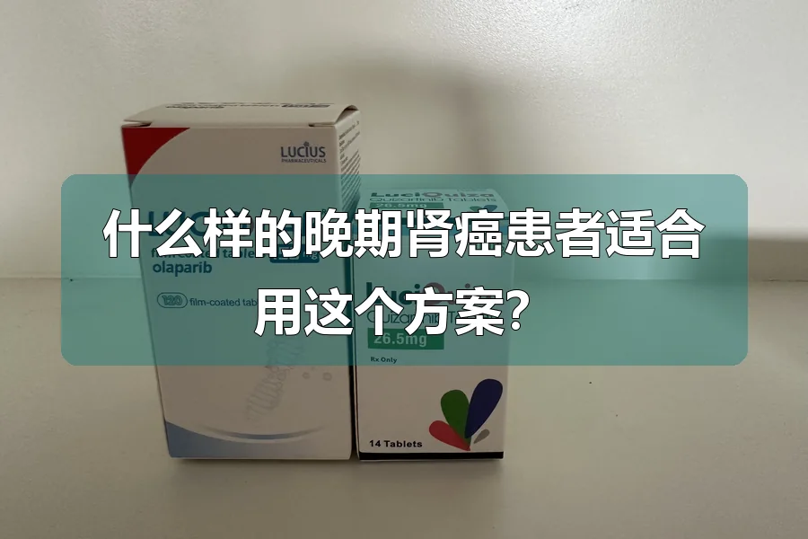 什么样的晚期肾癌患者适合用这个方案？